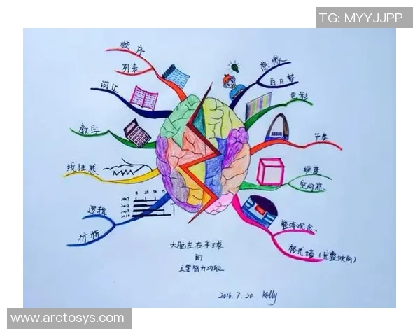 攀岩之路上的坚持与梦想：刘丽的深度对话与人生启示